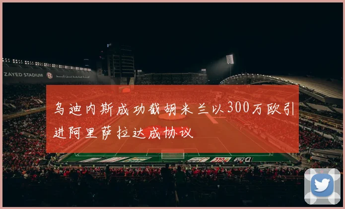 乌迪内斯成功截胡米兰以300万欧引进阿里萨拉达成协议