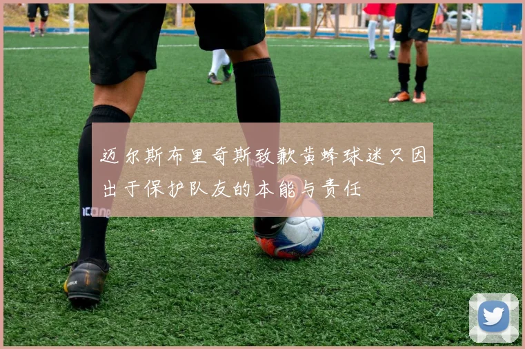 迈尔斯布里奇斯致歉黄蜂球迷只因出于保护队友的本能与责任