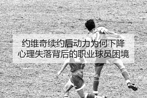 约维奇续约后动力为何下降 心理失落背后的职业球员困境 | TianBoSports